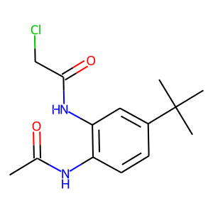 N-[2-(ACETYLAMINO)-5-(TERT-BUTYL)PHENYL]-2-CHLOROACETAMIDE