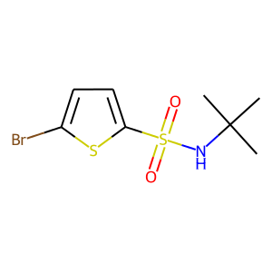 5-Bromo-N-tert-butyl-2-thiophenesulfonamide