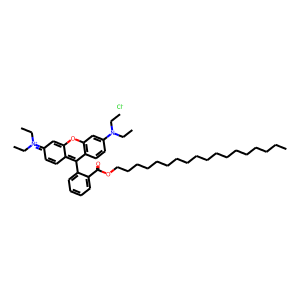 OCTADECYLRHODAMINEBCHLORIDE