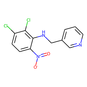 N1-(3-PYRIDYLMETHYL)-2,3-DICHLORO-6-NITROANILINE