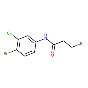 N1-(4-BROMO-3-CHLOROPHENYL)-3-BROMOPROPANAMIDE