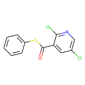 PHENYL2,5-DICHLOROPYRIDINE-3-CARBOTHIOATE