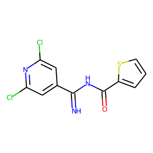 N2-[(2,6-DICHLORO-4-PYRIDYL)(IMINO)METHYL]THIOPHENE-2-CARBOXAMIDE