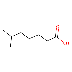 6-Methylheptanoic acid